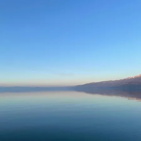 Millennium Tushemisht