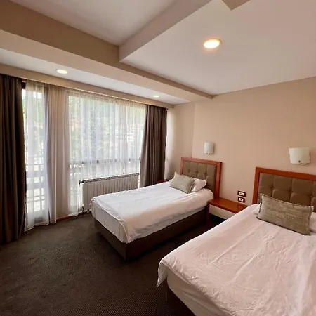 Millennium ホテル 4*