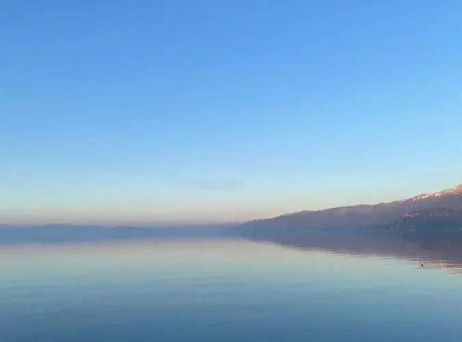 Millennium Tushemisht