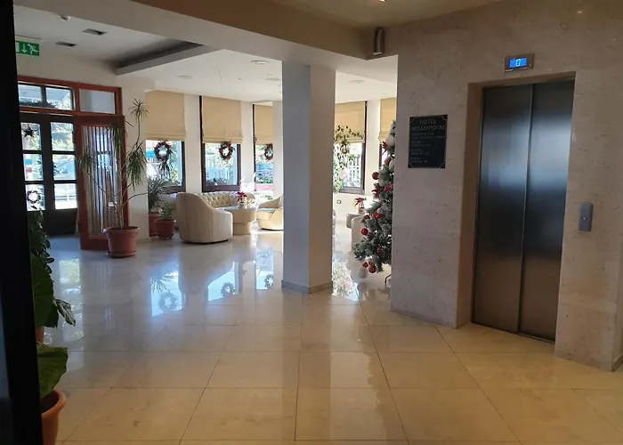 Millennium Tushemisht